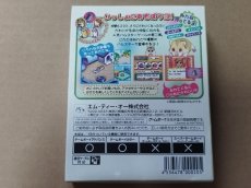 画像2: 【未使用の可能性あり】かわいいハムスター2　葉書箱説有　GBゲームボーイ【8m3】 (2)