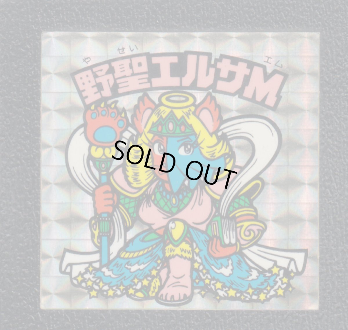 画像1: 野聖エルサM　状態【Ｂ】No.1 (1)