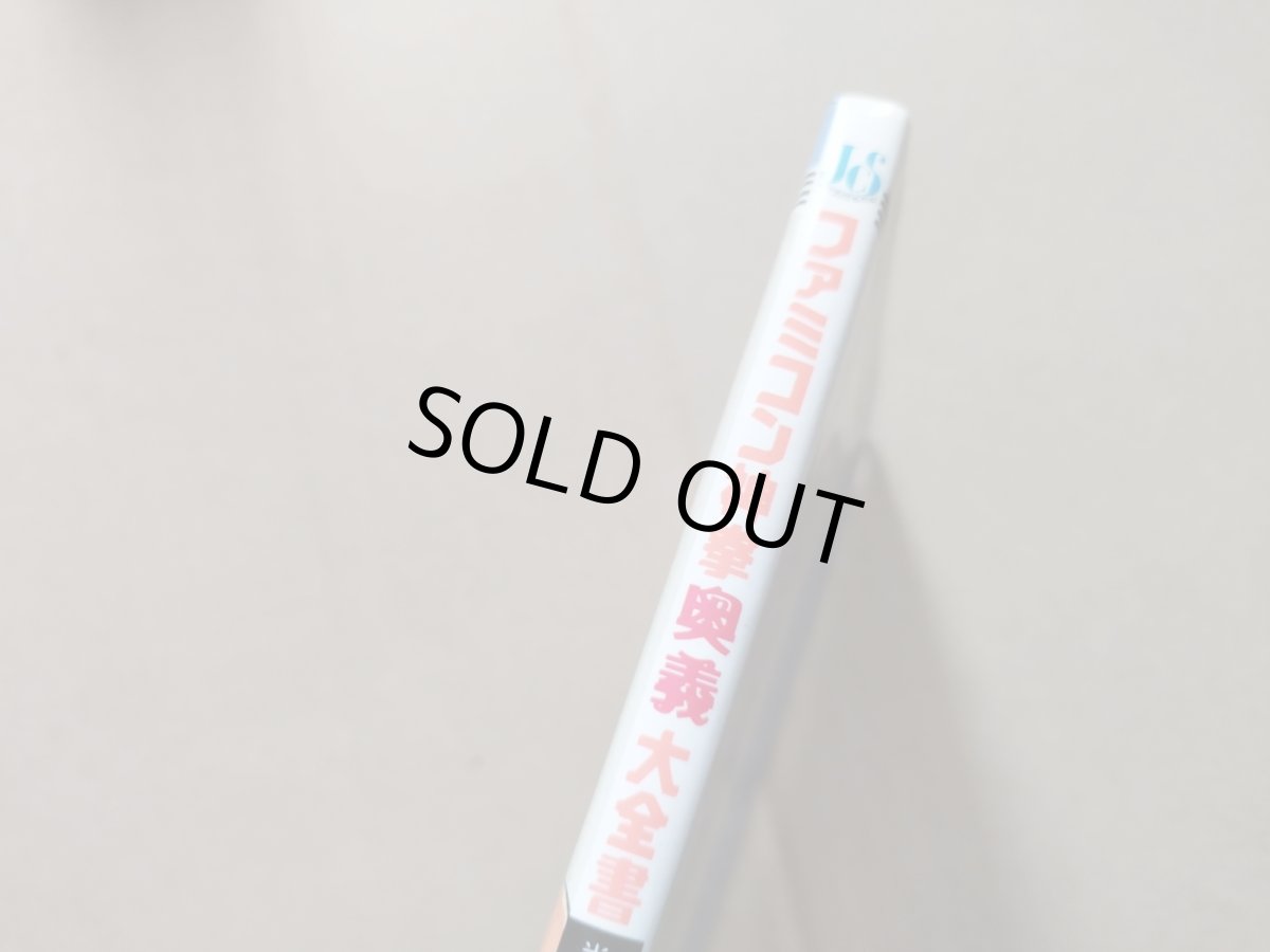 画像2: 【美品評価価格　初版】ドラゴンクエストII・ファミコン神拳奥義大全書・巻の四【5m7】 (2)