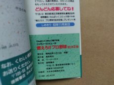 画像3: 燃えろ!!プロ野球’88決定版 完ペキ本【5h8】 (3)