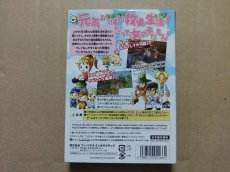 画像4: 牧場物語 ワンダフルライフ for ガール　箱説有　GCゲームキューブ【5h1】 (4)