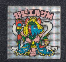 画像1: 野聖エルサM　状態【Ｂ】No.2 (1)