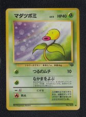 画像1: マダツボミ　状態【B】旧ポケモンカード (1)