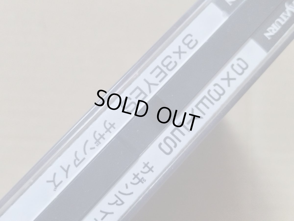 画像2: 3×3EYES　サザンアイズ 吸精公主　箱説有　SSセガサターン【9N4】 (2)