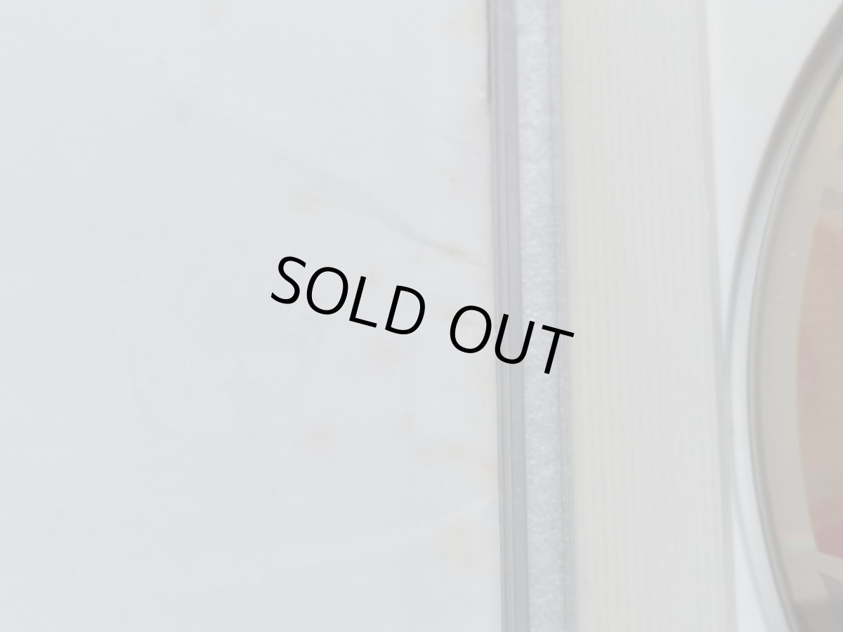 画像3: ザ・プロ野球　SUPER　帯葉書箱説有　PCエンジン【7h6】 (3)