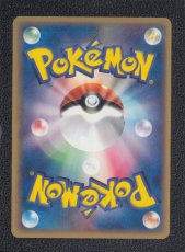 画像2: ミステリープレートγ　状態【A】　ポケモンカード (2)