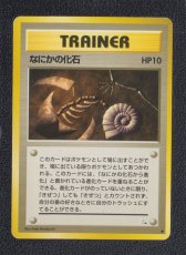 画像1: なにかの化石　状態【B】　旧ポケモンカード (1)