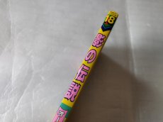 画像2: 影の伝説 ゲーム必勝法シリーズ18【5m5】 (2)