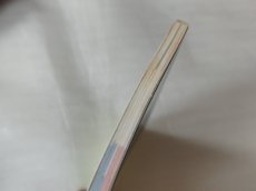 画像6: 【美品評価価格】ジャンボ尾崎のホールインワン プロフェッショナル 完全攻略本【5m6】 (6)