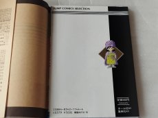 画像7: 【美品評価価格】ドラゴンクエストV 天空の花嫁 攻略本 スーパーファミコン奥義大全書　鳳書院カバー付き【6h8】 (7)