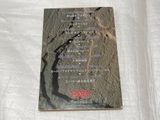画像2: 攻略超大全　ファミマガ付録【5m8】 (2)