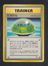 画像1: エコロジム　状態【B】　旧ポケモンカード (1)