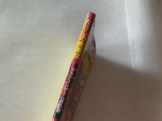 画像2: たけしの挑戦状　虎の巻【5ｍ6】 (2)