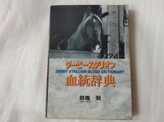 画像1: ダービースタリオン血統辞典【6h8】 (1)