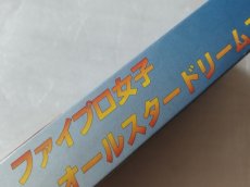 画像5: ファイプロ女子 オールスタードリームスラム　箱説有　SFCスーパーファミコン【4N7】 (5)