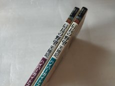 画像3: セガサターン版 信長の野望 天翔記 ハイパーガイドブック 上巻 下巻 セット【7h7】 (3)