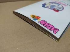 画像7: 【減額品】ダーティペア 完全必勝本【4m6】  (7)