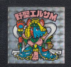 画像1: 野聖エルサM　状態【B】No.2 (1)