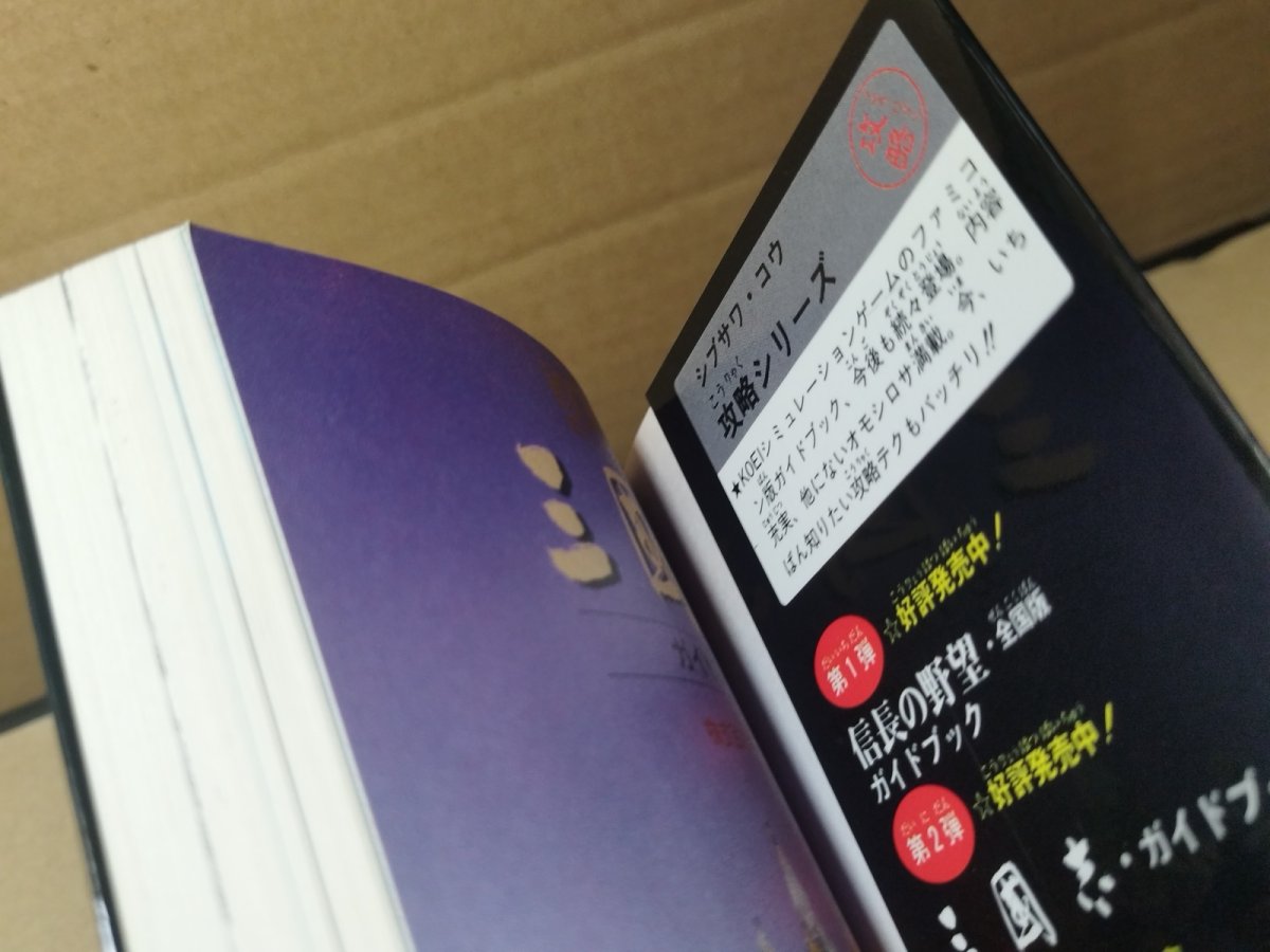 画像13: 【美品評価価格】三國志三国志　ガイドブック【4m6】 (13)