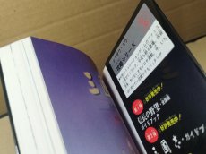 画像13: 【美品評価価格】三國志三国志　ガイドブック【4m6】 (13)
