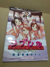 画像1: 【美品評価価格】　ラブひな スマイル・アゲイン 完全攻略ガイド【5m9】 (1)
