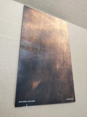 画像9: 【美品評価価格】ベルウィックサーガ　葉書箱説有　PS2プレイステーション【8m9】 (9)