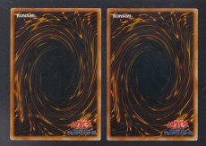 画像2: 漆黒の豹戦士パンサーウォリアー　2枚セット　状態【B】遊戯王 (2)