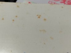 画像11: 【減額品】ドラゴンクエストモンスターズ1.2　星降りの勇者と牧場の仲間たち　箱説有　PS1プレイステーション【8h5】 (11)