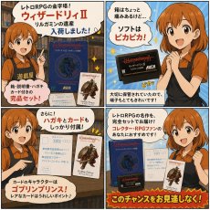 画像24: ウィザードリィII　リルガミンの遺産　葉書カード箱説有　FCファミコン【6h4】 (24)