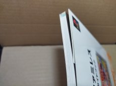 画像6: 【美品評価価格】ザ・ファミレス 公式ガイドブック　帯有【5m8】 (6)