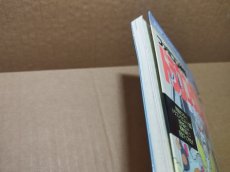 画像4: 【美品評価価格】ファミコン神拳奥義大全書 巻の四　ドラゴンクエストII 悪霊の神々【5h7】 (4)