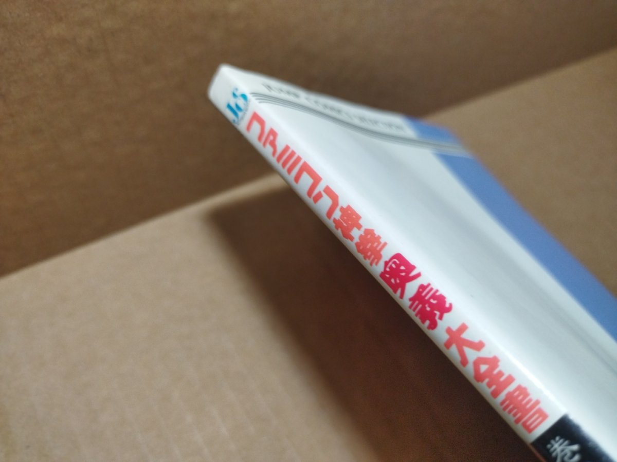 画像9: 【美品評価価格】ファミコン神拳奥義大全書 巻の四　ドラゴンクエストII 悪霊の神々【5h7】 (9)