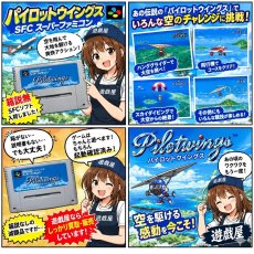 画像6: パイロットウイングス　箱説無　SFCスーパーファミコン【7】 (6)