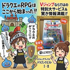 画像25: 【美品評価価格】Vジャンプブックス ゲームシリーズ ドラゴンクエストI・II　葉書有　初版【4m7】 (25)