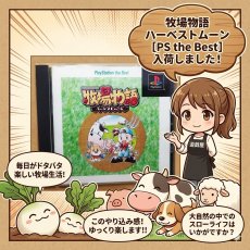画像16: 牧場物語 ハーベストムーン 箱説有　PS1プレイステーション【7h4】 (16)