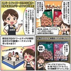 画像15: 【美品評価価格】キングオブコロシアム 赤 緑　葉書箱説有　PS2プレイステーション【8m10】 (15)