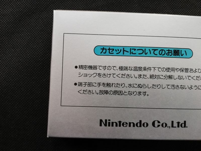 アイスクライマー 新品未使用 FCファミコン - 遊戯屋