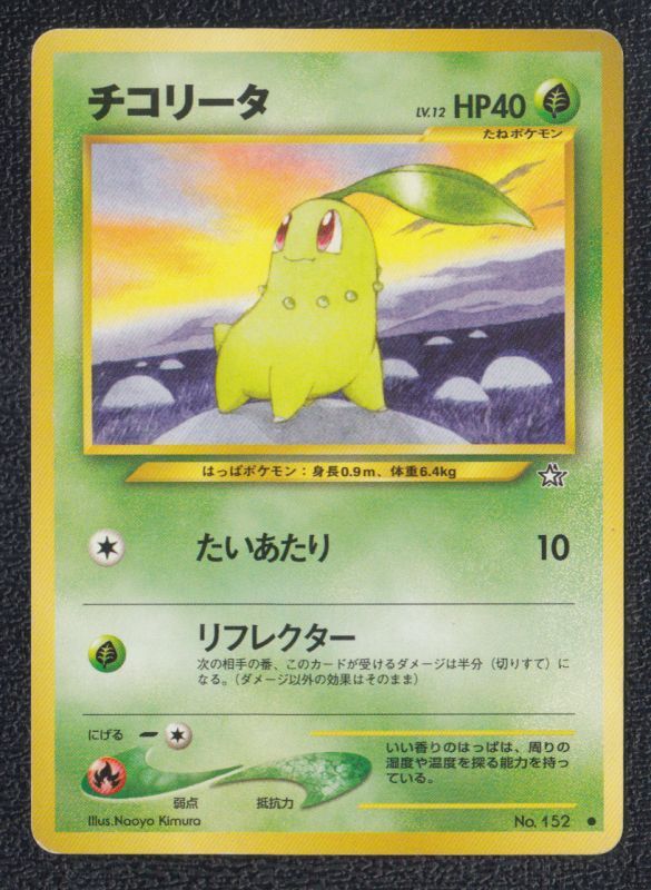 チコリータ 遊戯屋