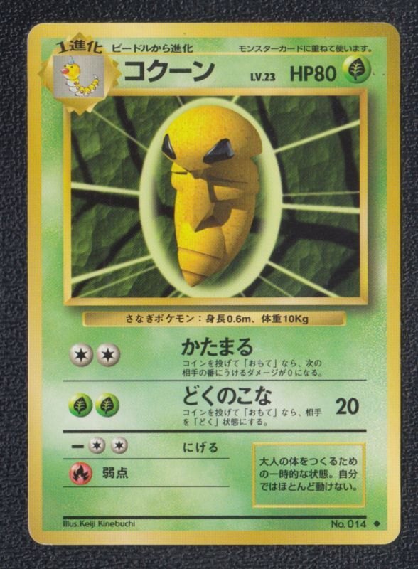 コクーン 遊戯屋