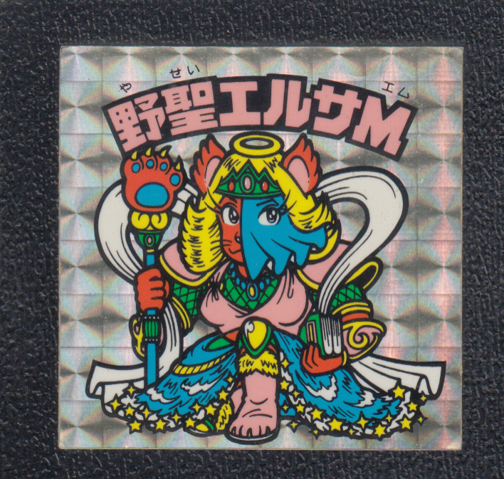 画像1: 野聖エルサM 状態【B】No.1 (1)